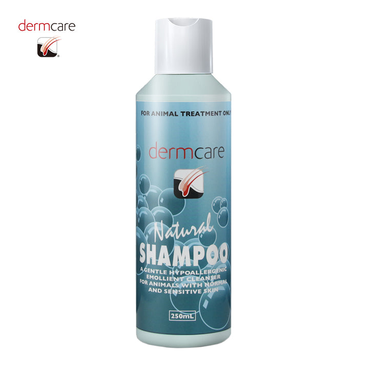 ナチュラルシャンプー – KIRIKAN オンラインストア