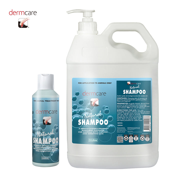 item_11_9ceed9f0-25e9-4b68-