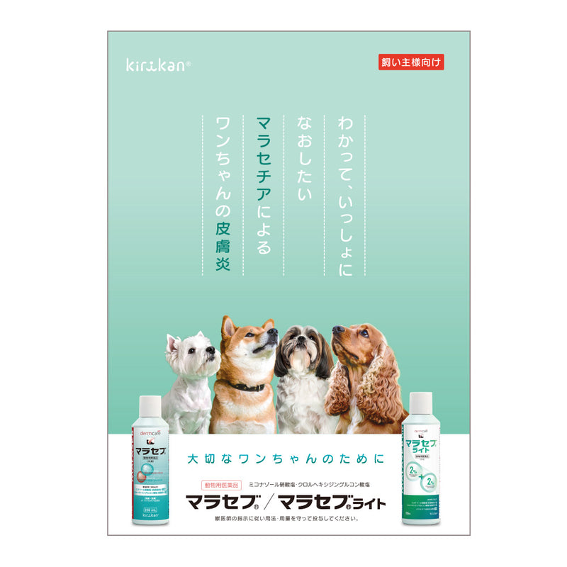マラセブ リーフレット