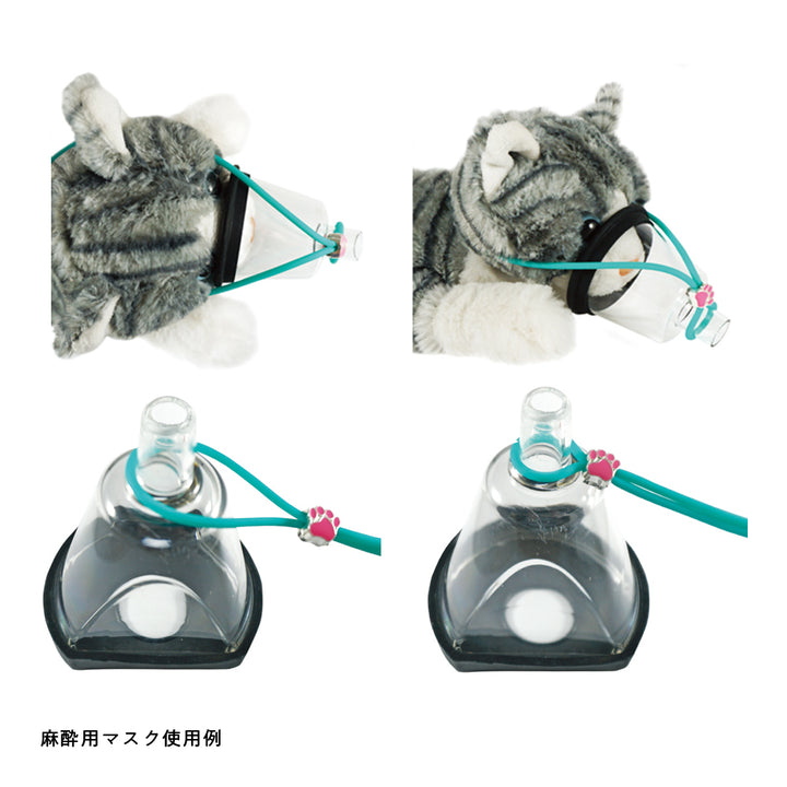 kana　1204570 お急ぎ OEM '12-'20 Frontier Water Pipe 4.0L - VQ40DE