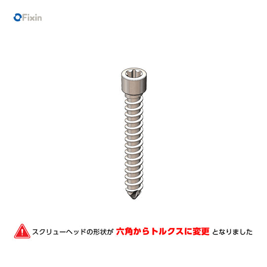 Fixin large Φ3.0mmスクリュー（トルクス）