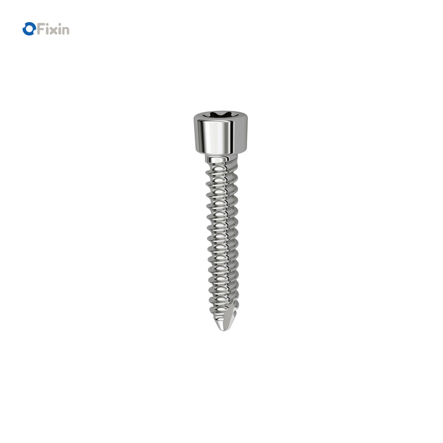 item_524_900x.jpg?v=1737079741