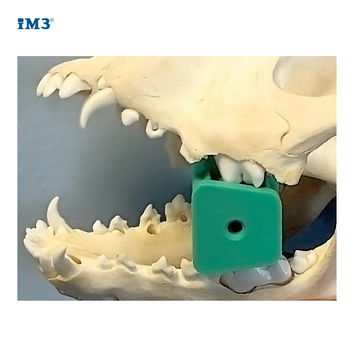 item_529_02_7ef4003f-fdc0-41cb