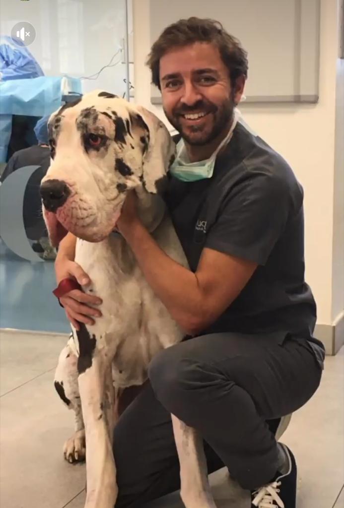 Dr. Pedro Godinho